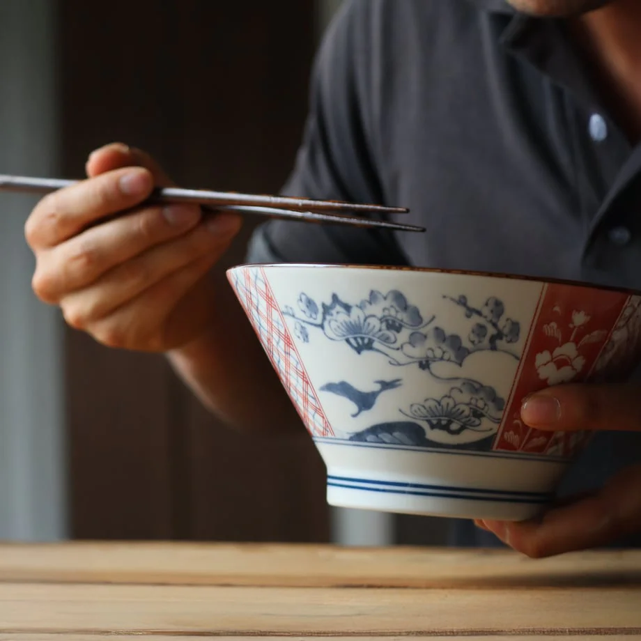Edokko Dinosaur Donburi Bowl 19D - Image 7