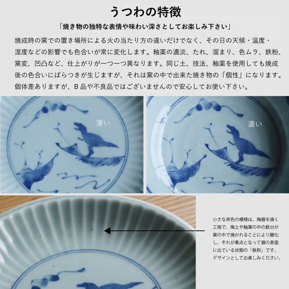 Edokko Dinosaur Shinogi Bowl 15.5D - Image 10