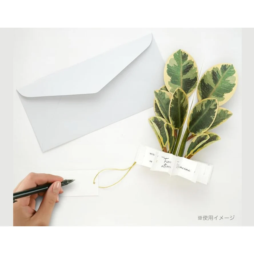 Greeting Life Ficus Artemisia Pop-up Card - Image 2