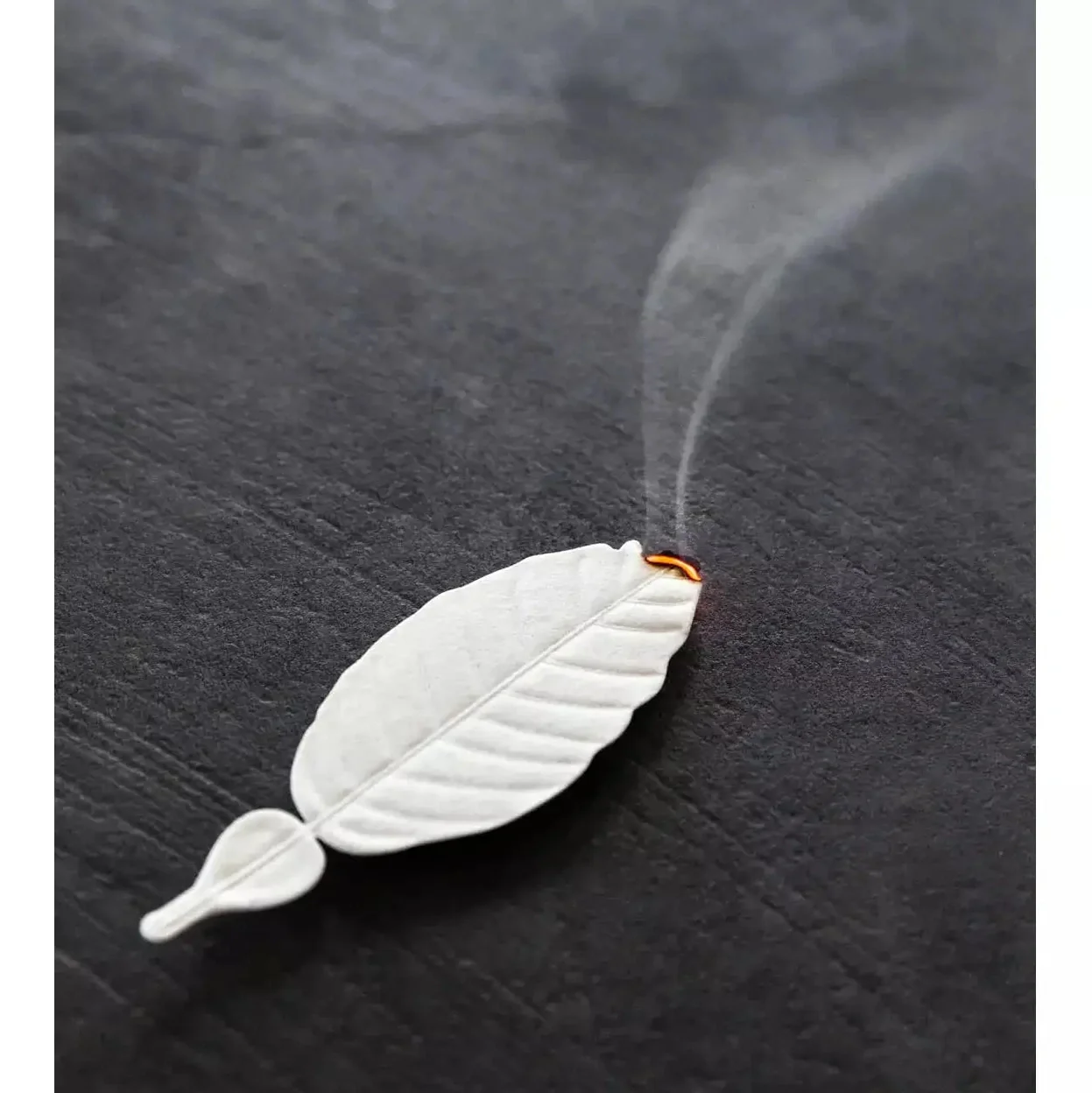 HA KO Autumn - Image 4