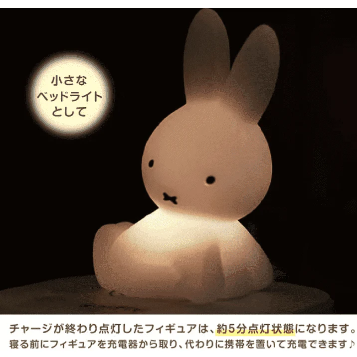 Hashy Miffy Qi Wireless Charge & - Image 6