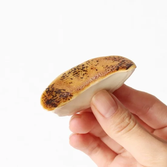 Ihoshiro Gyoza Chopstick Rest - Image 4
