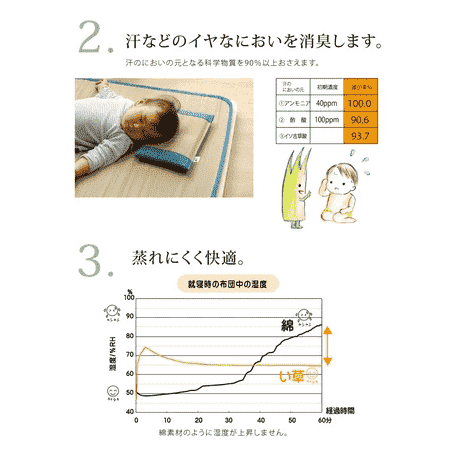 Ikehiko Baby Tatami Pillow 30x20cm - Image 7