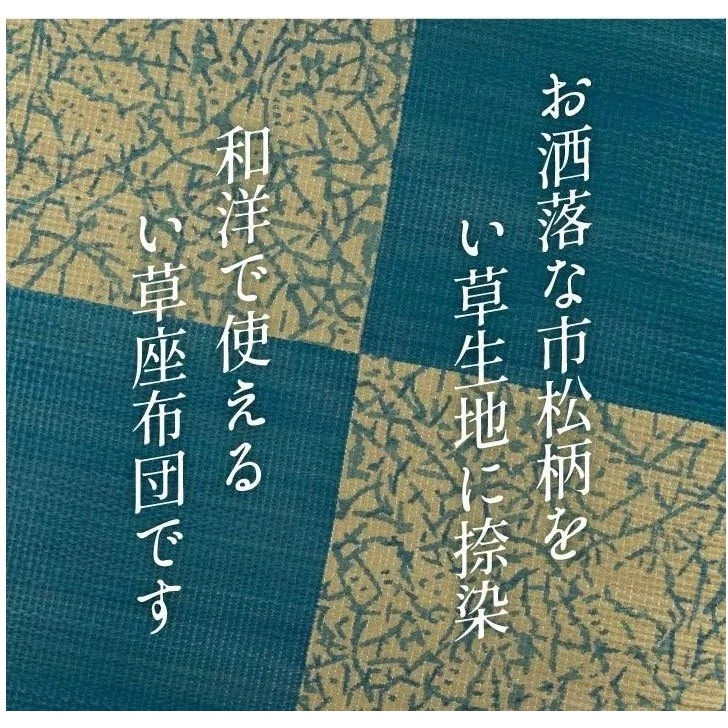 Ikehiko Goemon Zabuton Cushion 55x55cm - Image 6