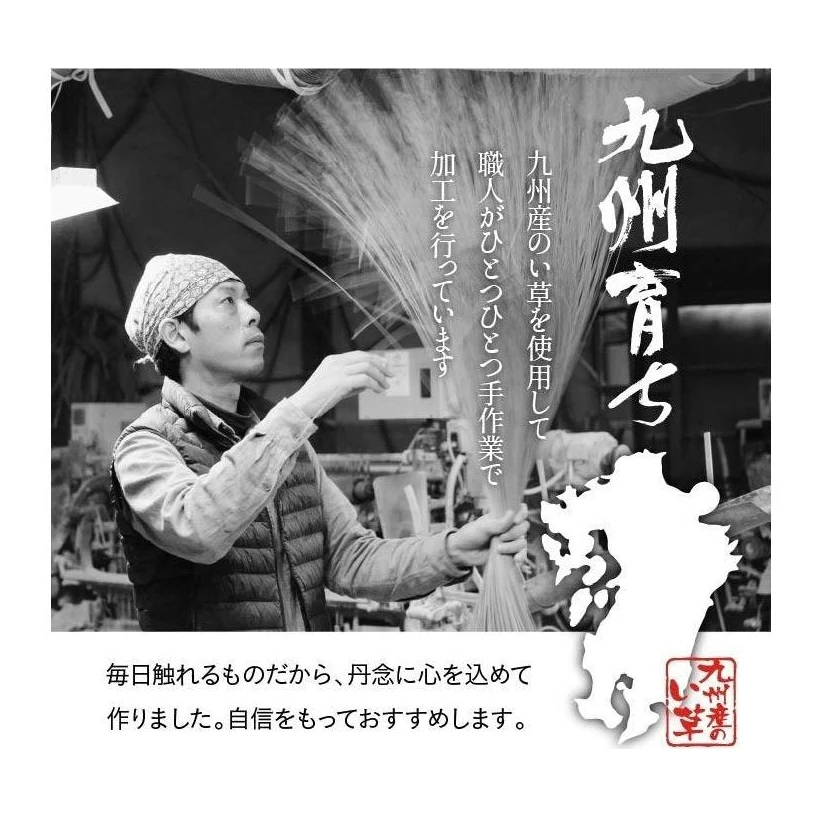 Ikehiko Goemon Zabuton Cushion 55x55cm - Image 7