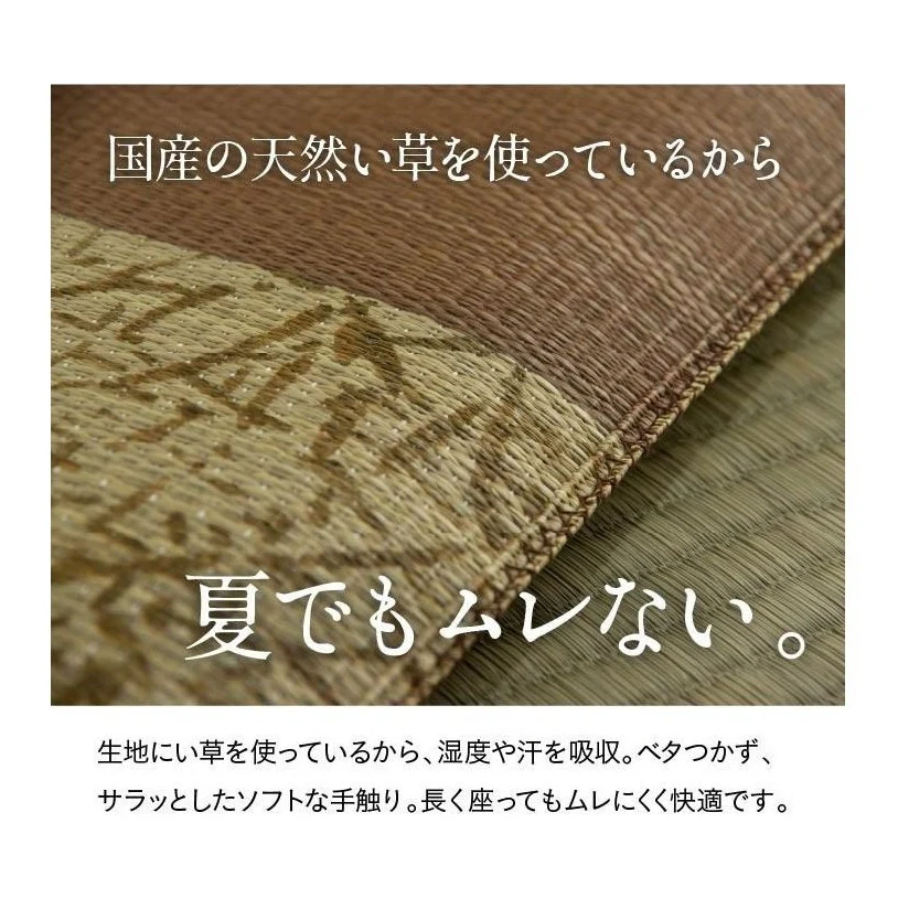 Ikehiko Goemon Zabuton Cushion 55x55cm - Image 8