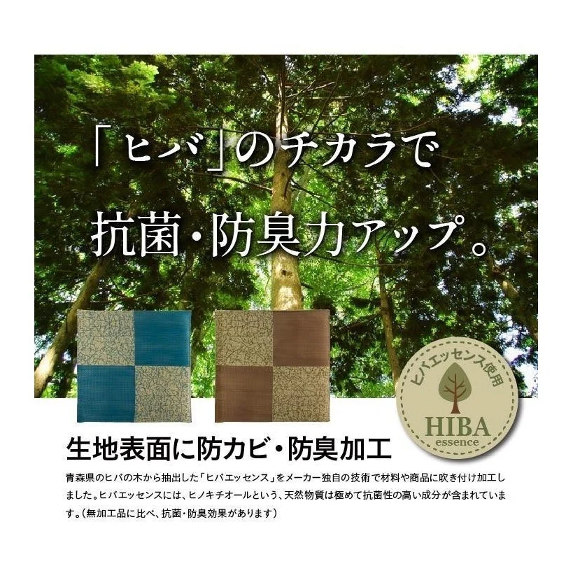 Ikehiko Goemon Zabuton Cushion 55x55cm - Image 9