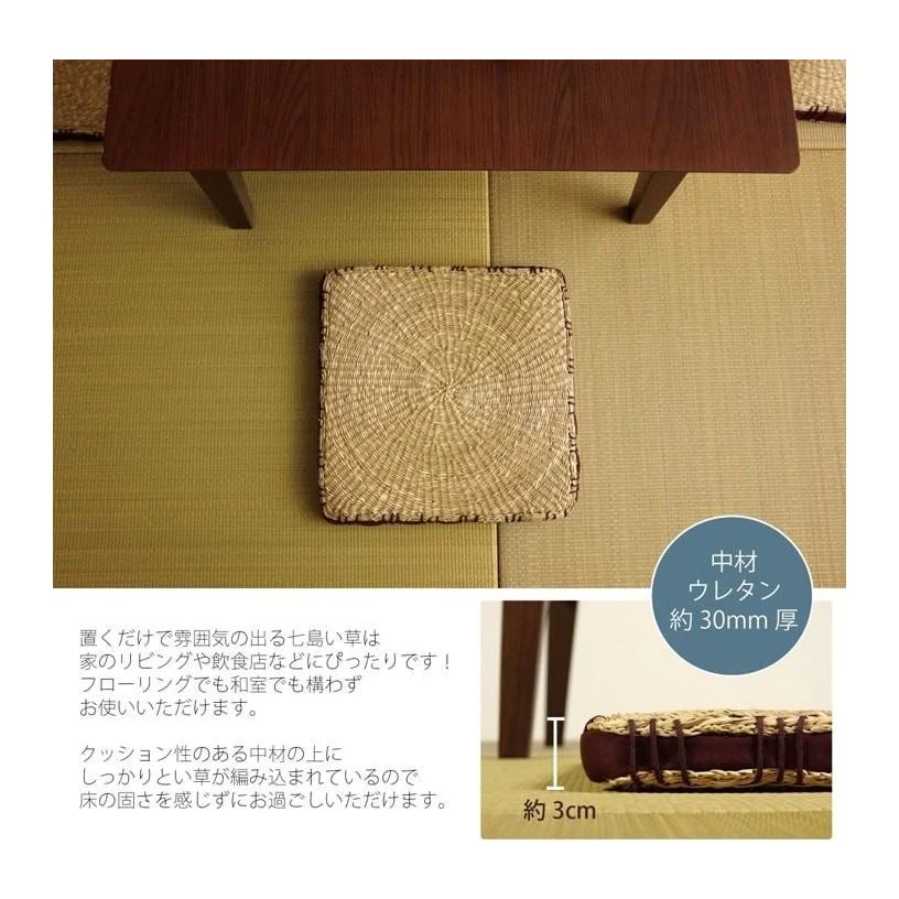 Ikehiko Igusa Coast Square Seat Cushion 40x40cm - Image 5