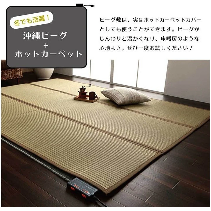 Ikehiko Okinawa Beag Tatami Rug - Image 6
