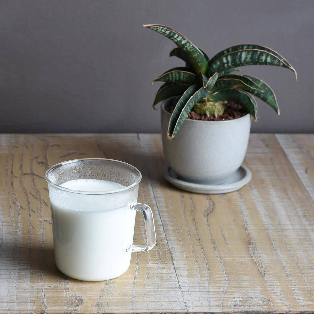 Kinto - CAST Milk Mug - 310ml - Image 2