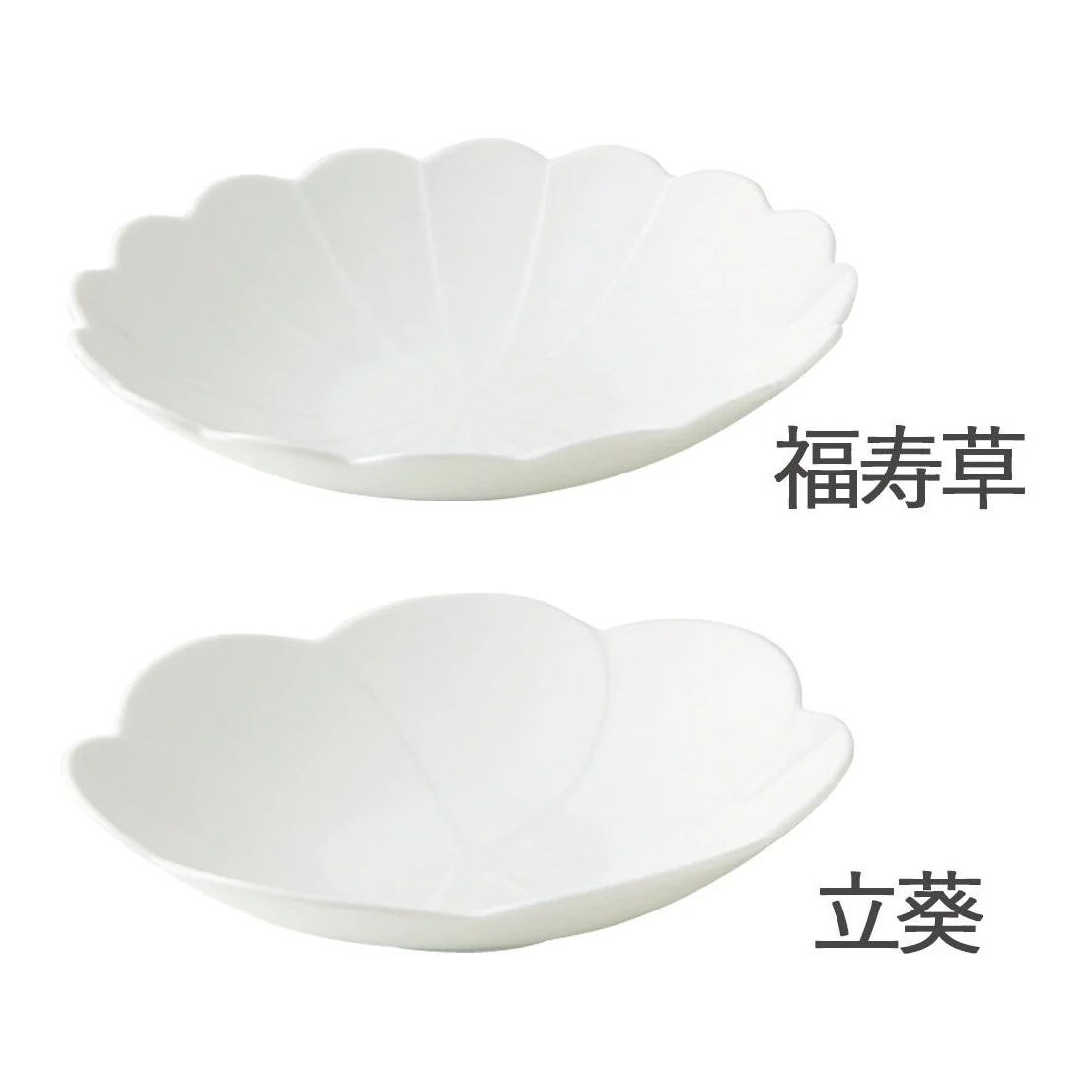 Kotohana Shallow Bowl 21D 5H - Image 2
