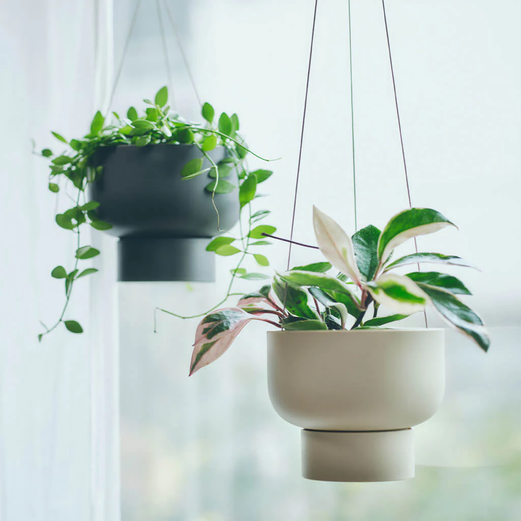 Marna Hanging Plant Pot - Image 2