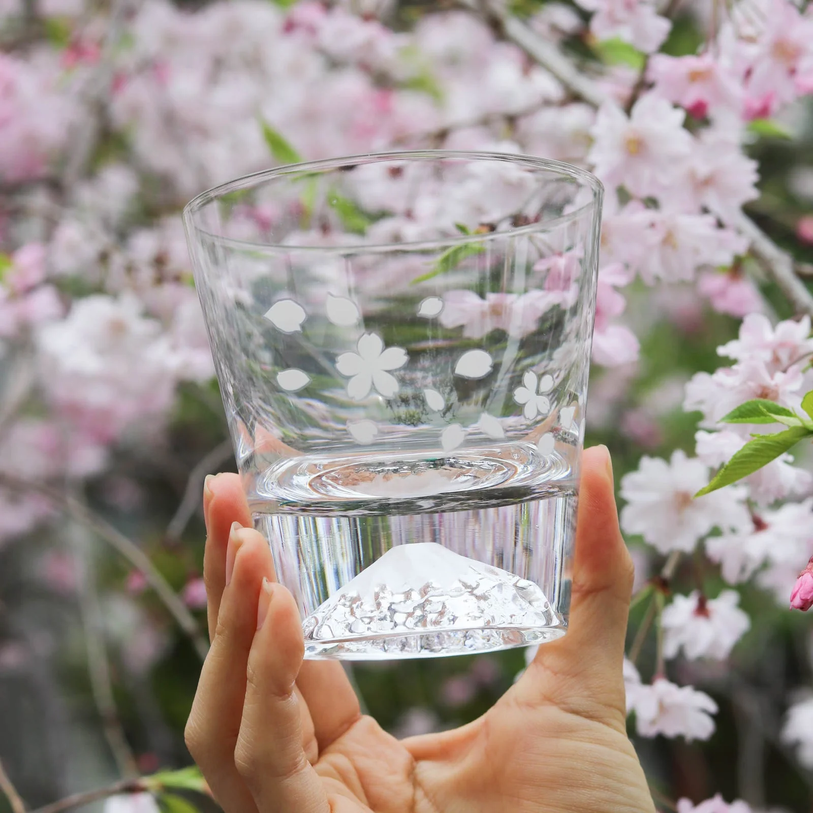 Marumo Takagi Colour Changing Sakura Fuji Rock Glass 270ml - Image 3