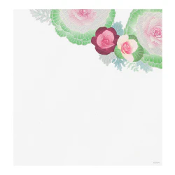 Midori Kami Letter Set Ornamental Kale - Image 2