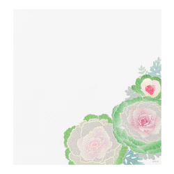 Midori Kami Letter Set Ornamental Kale - Image 3