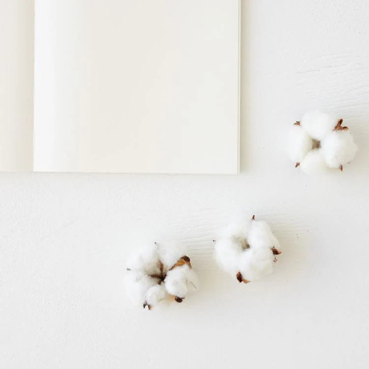 Midori MD Notebook - Cotton - A5 - Image 5