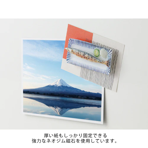 Midori Miniature Magnet - Samma - Image 2