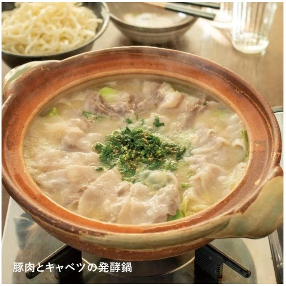Nagatanien Iga Yu Classic Donabe - Large - 2.7L - Image 5