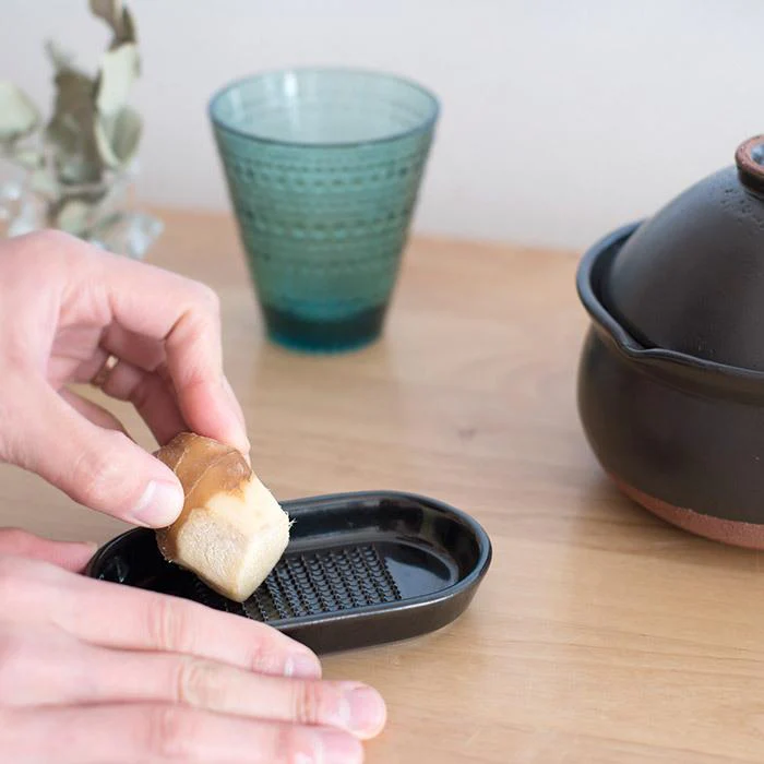Nichijosahanki Ginger & Condiment Grater Dish - Image 3