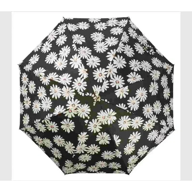 NIFTY COLORS Black Marguerite Daisy Umbrella 50cm - Image 2