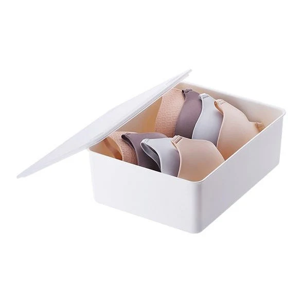 Shimoyama Underwear Storage Box - Image 13