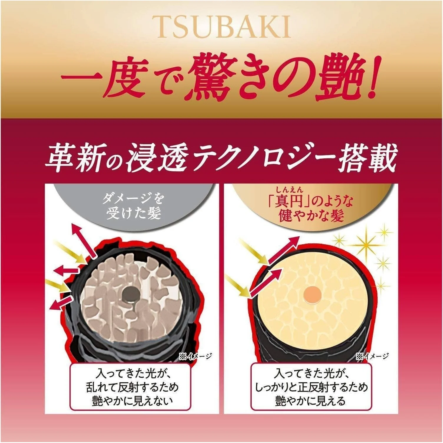 Shiseido Tsubaki Premium Moist & Repair Shampoo 450ml - Image 2