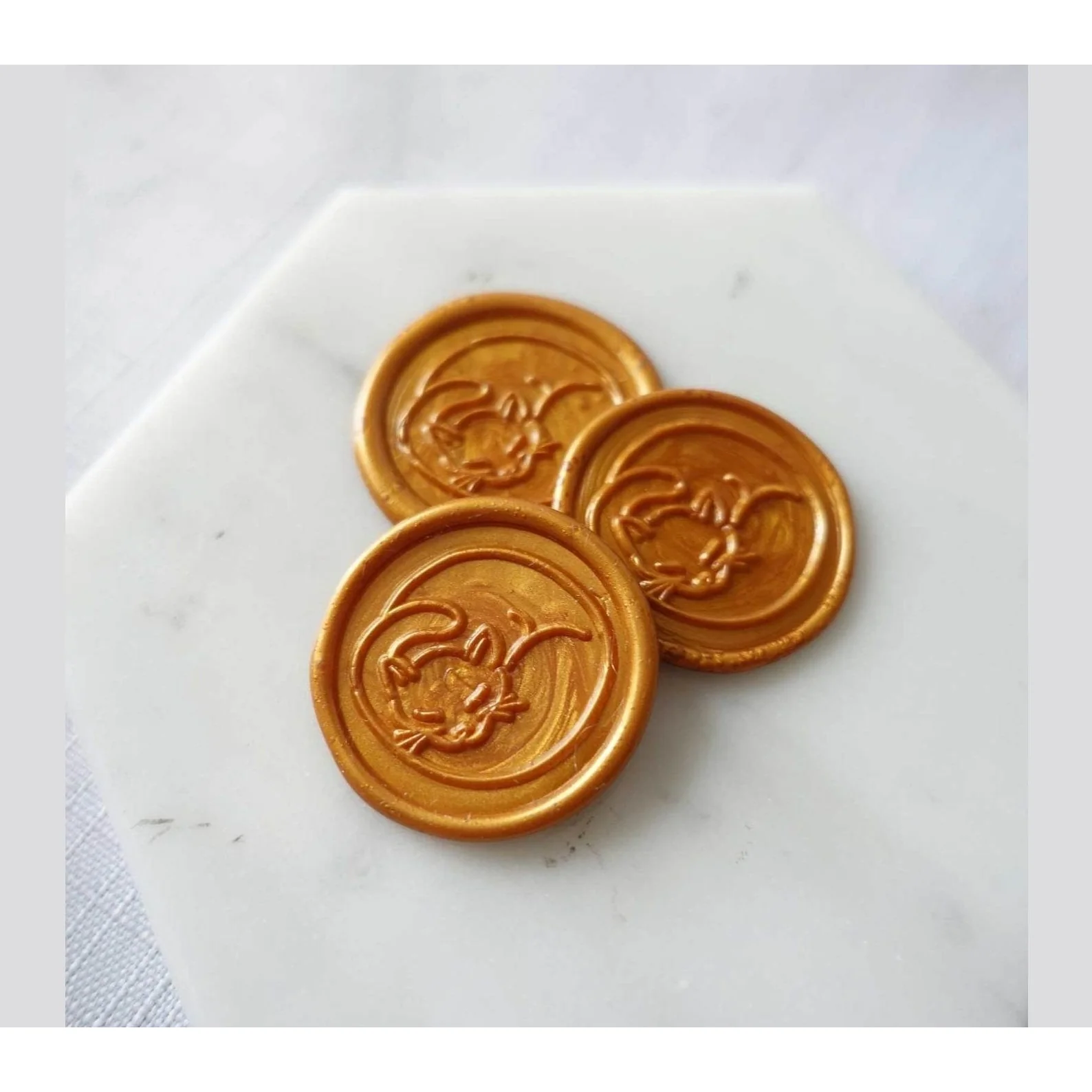 Fiona Ariva Wax Sealing Kit - Image 22